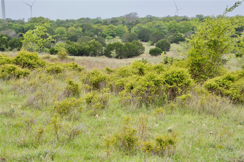 621 E Fm 572 Property Photo 14
