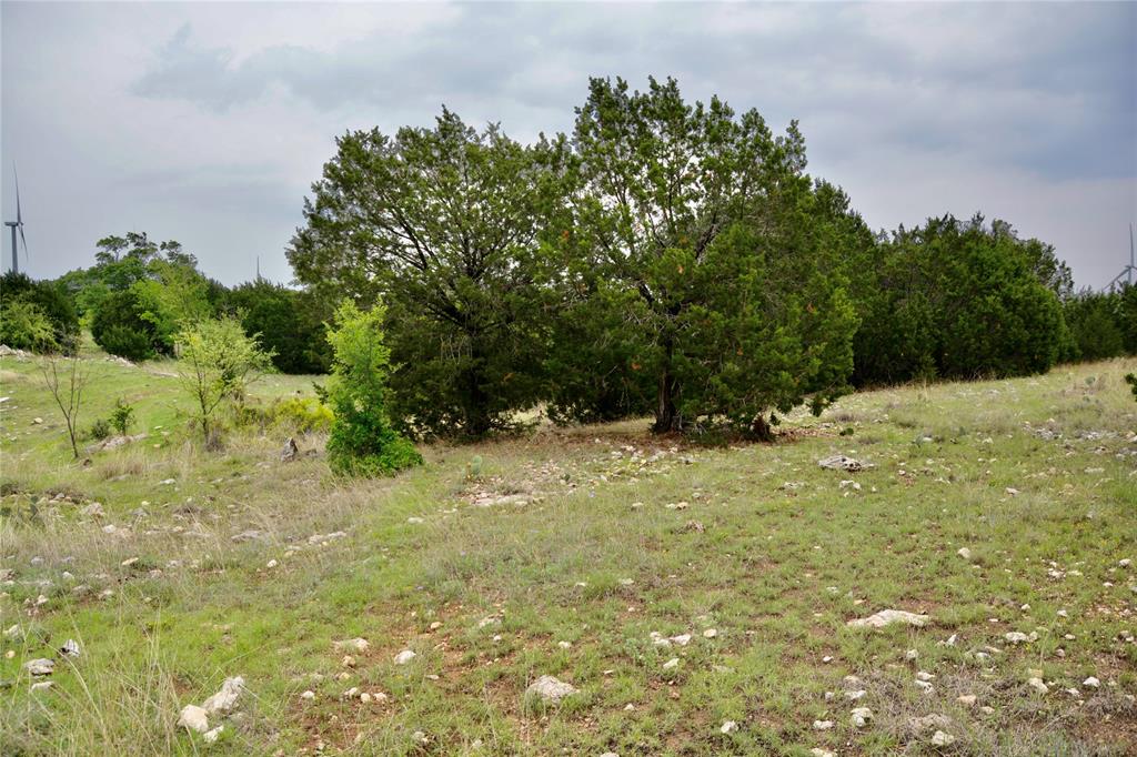 621 E Fm 572 Property Photo 17