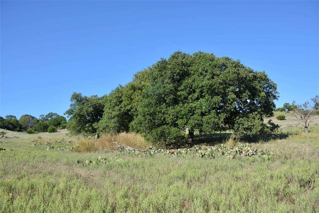 621 E Fm 572 Property Photo 20