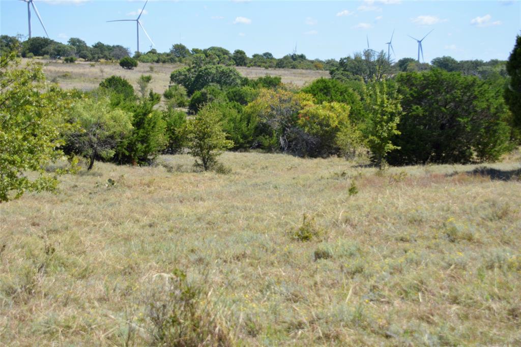 621 E Fm 572 Property Photo 21