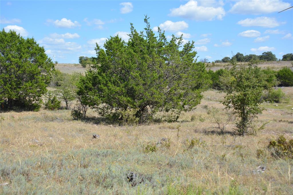 621 E Fm 572 Property Photo 23