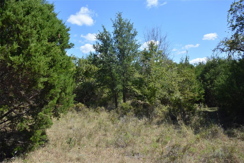 621 E Fm 572 Property Photo 24