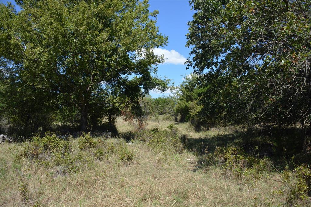 621 E Fm 572 Property Photo 25
