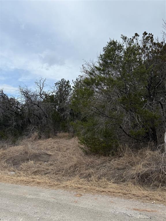 4611 Evening View Drive Property Photo 2