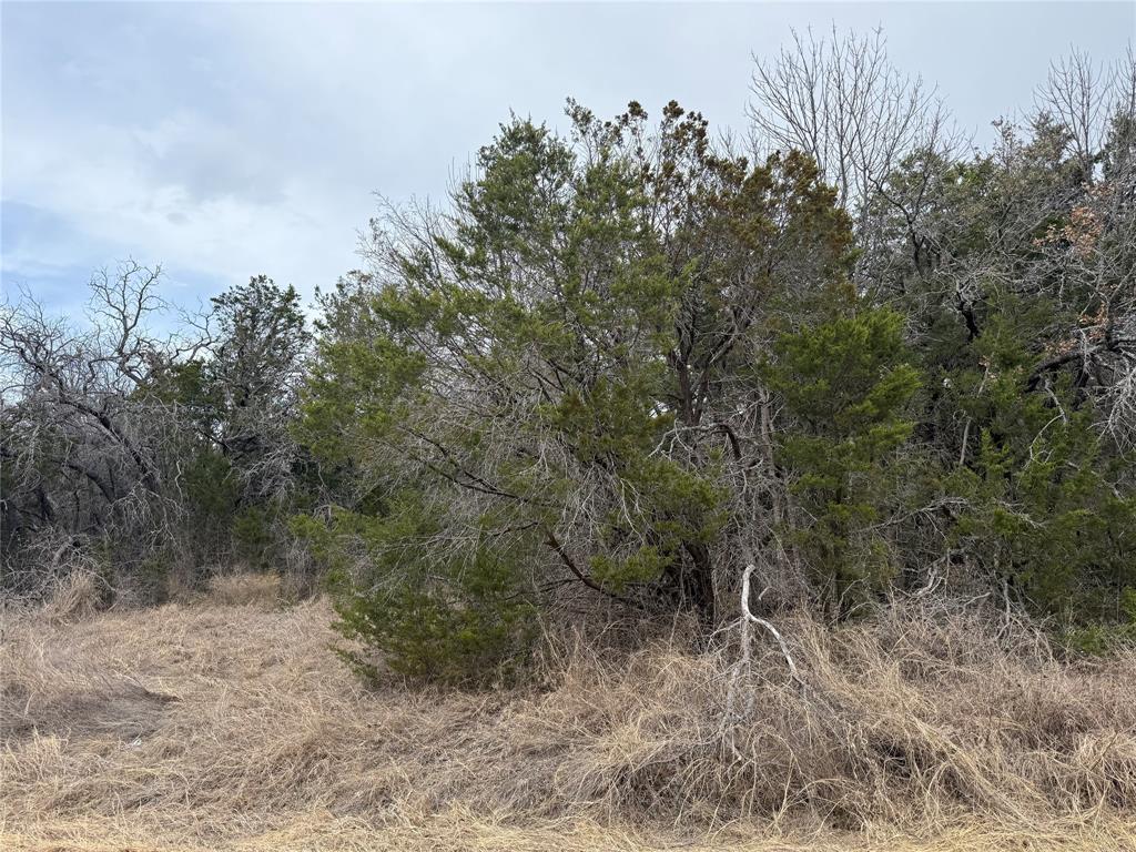 4611 Evening View Drive Property Photo 4