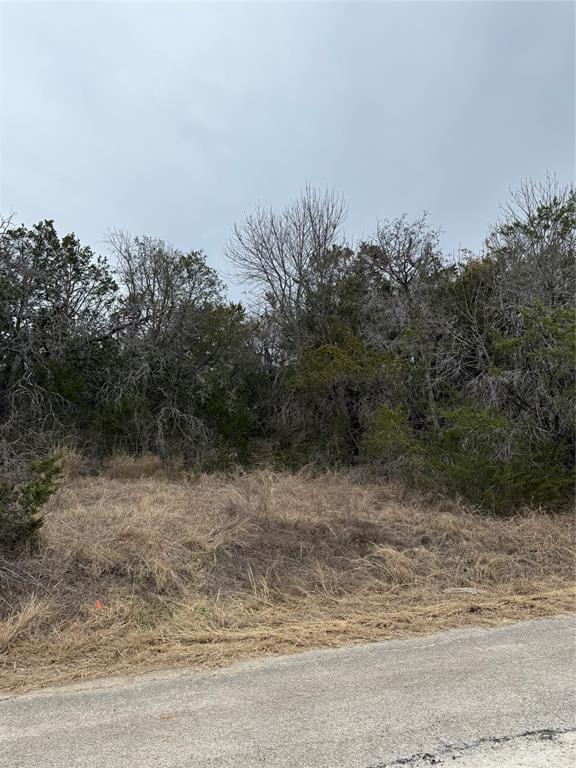 4611 Evening View Drive Property Photo 5