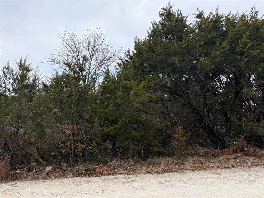 2102 Cactus Alley Property Photo 1