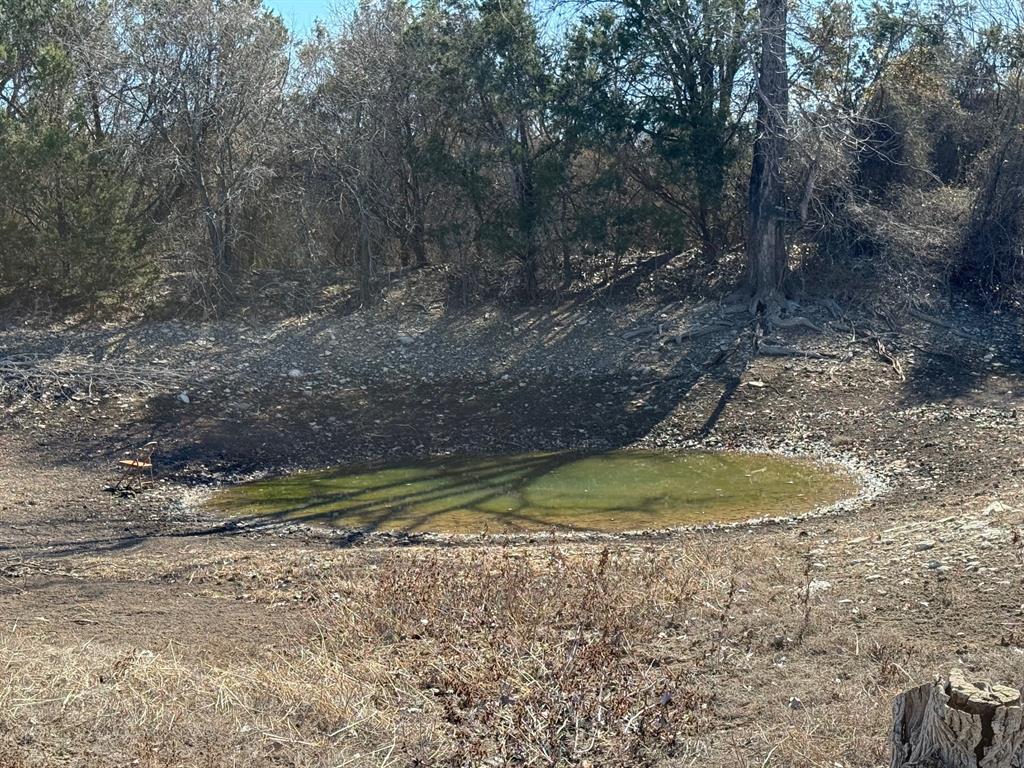 7385 Hayworth Highway Property Photo 3