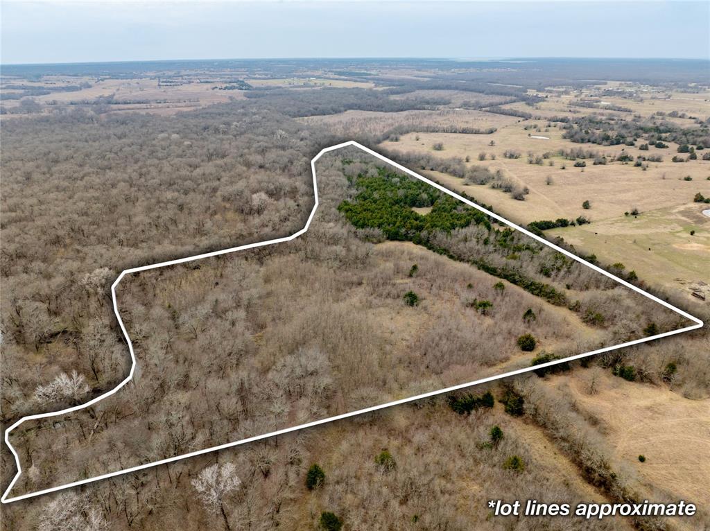 Tbd County Road 618 Property Photo 1
