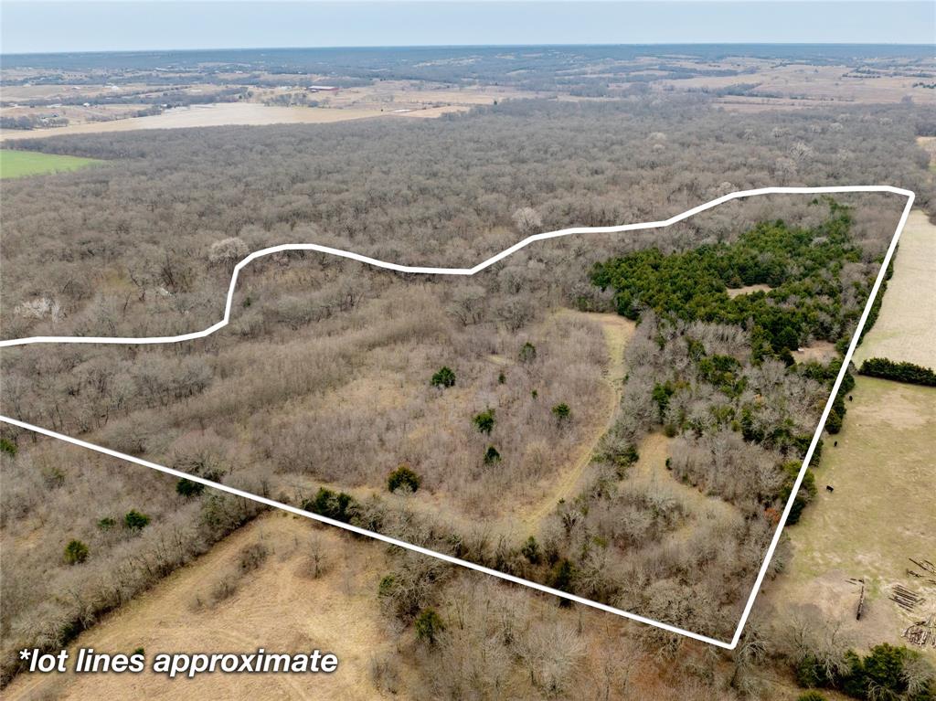 Tbd County Road 618 Property Photo 2