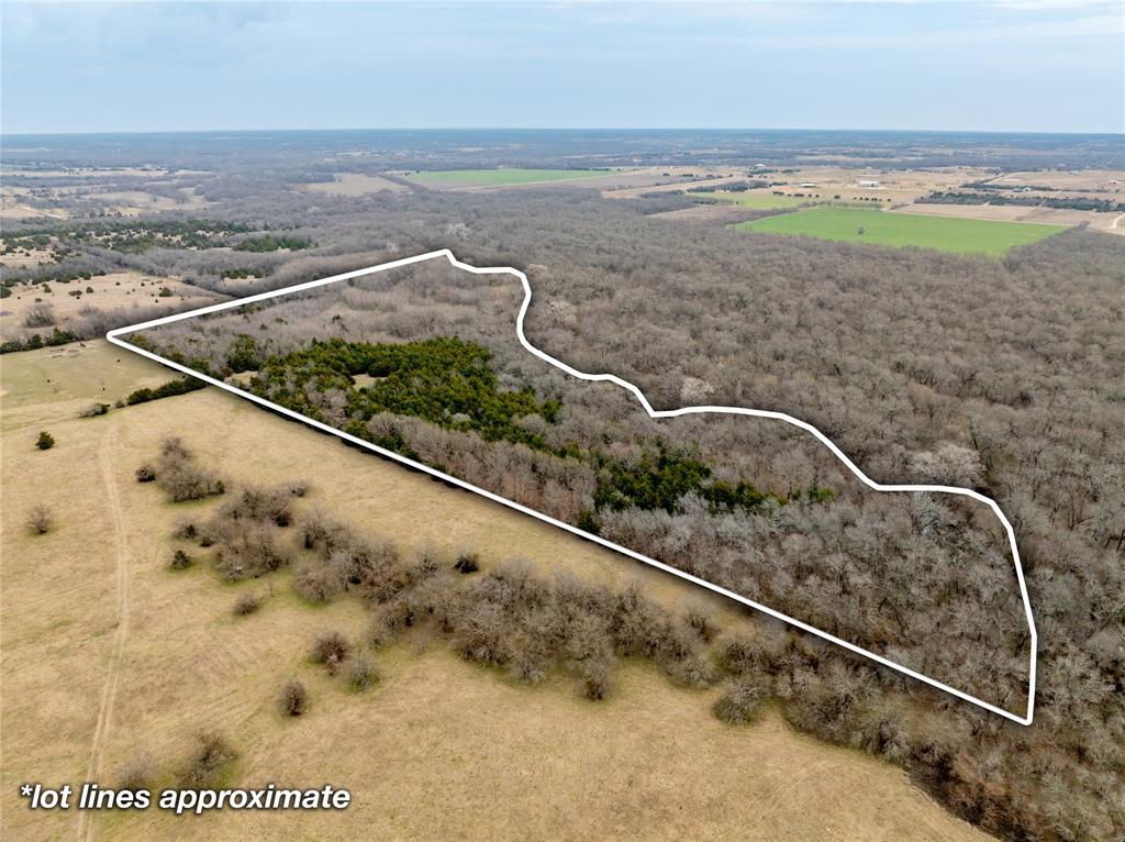 Tbd County Road 618 Property Photo 3