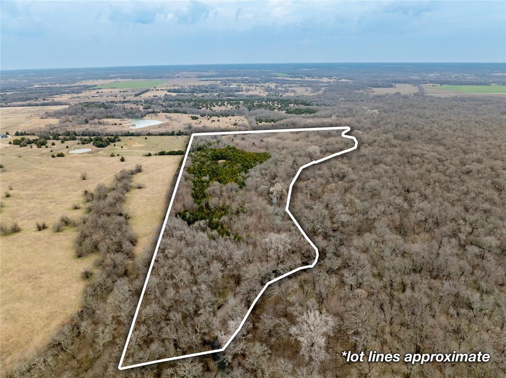 Tbd County Road 618 Property Photo 4
