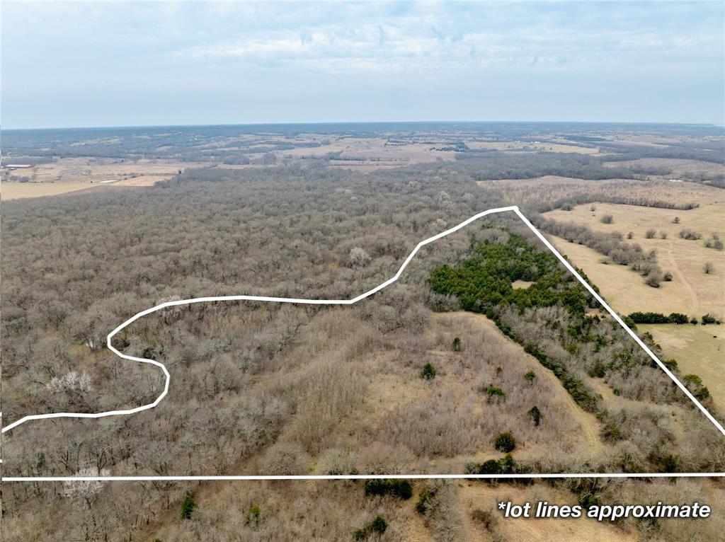 Tbd County Road 618 Property Photo 5
