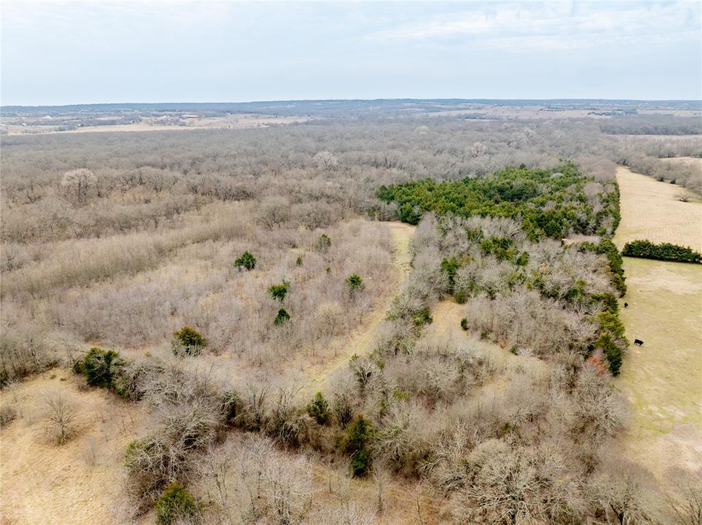 Tbd County Road 618 Property Photo 6