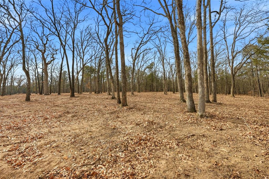Lot 27 White Tail Way Property Photo 16