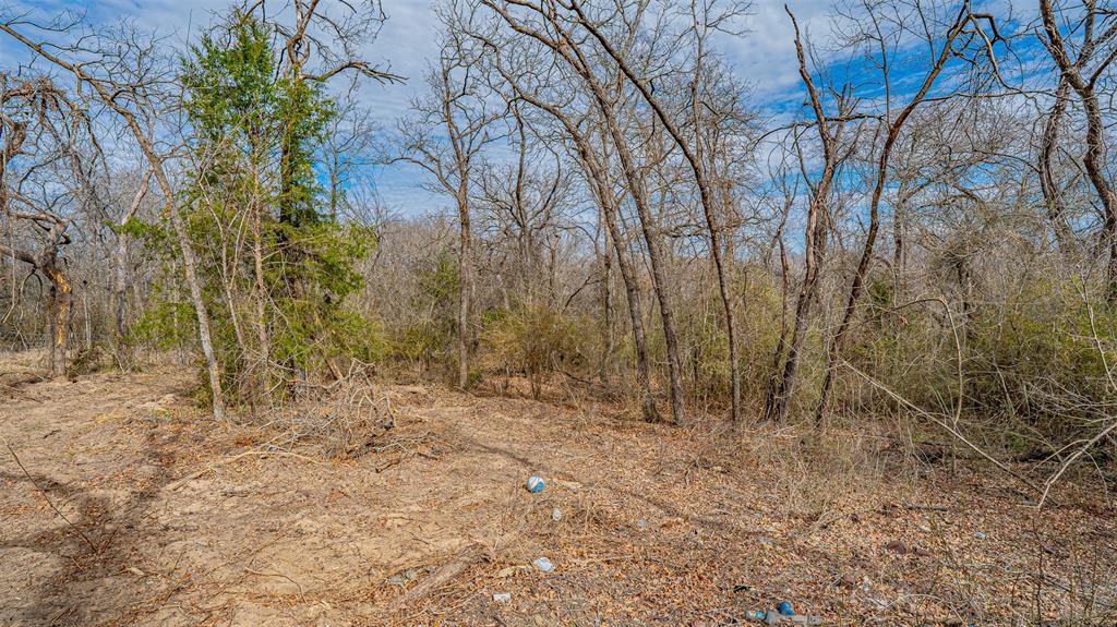Tbd Conwell Drive Property Photo 3