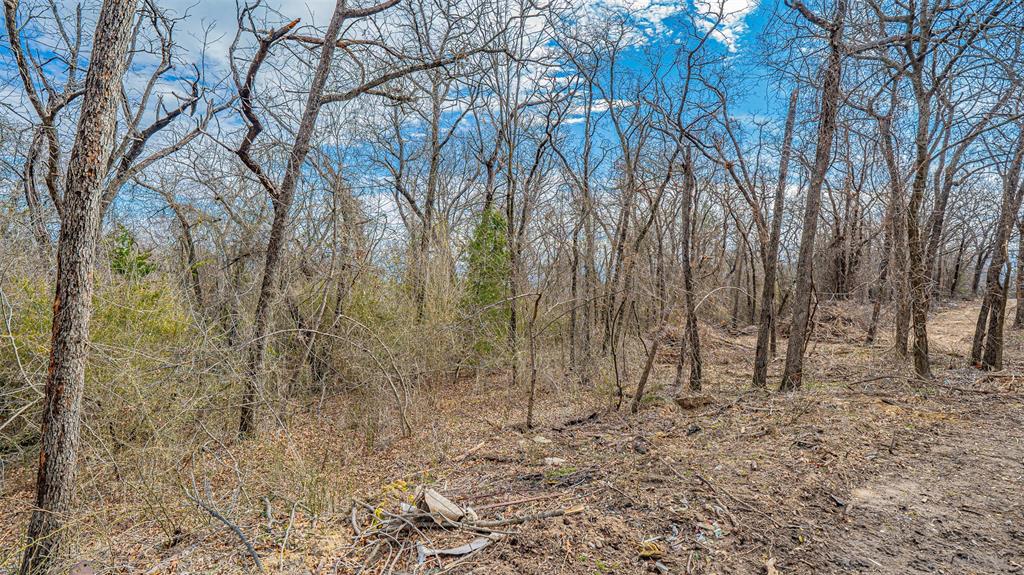 Tbd Conwell Drive Property Photo 4