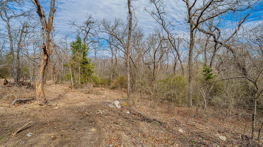 Tbd Conwell Drive Property Photo 5