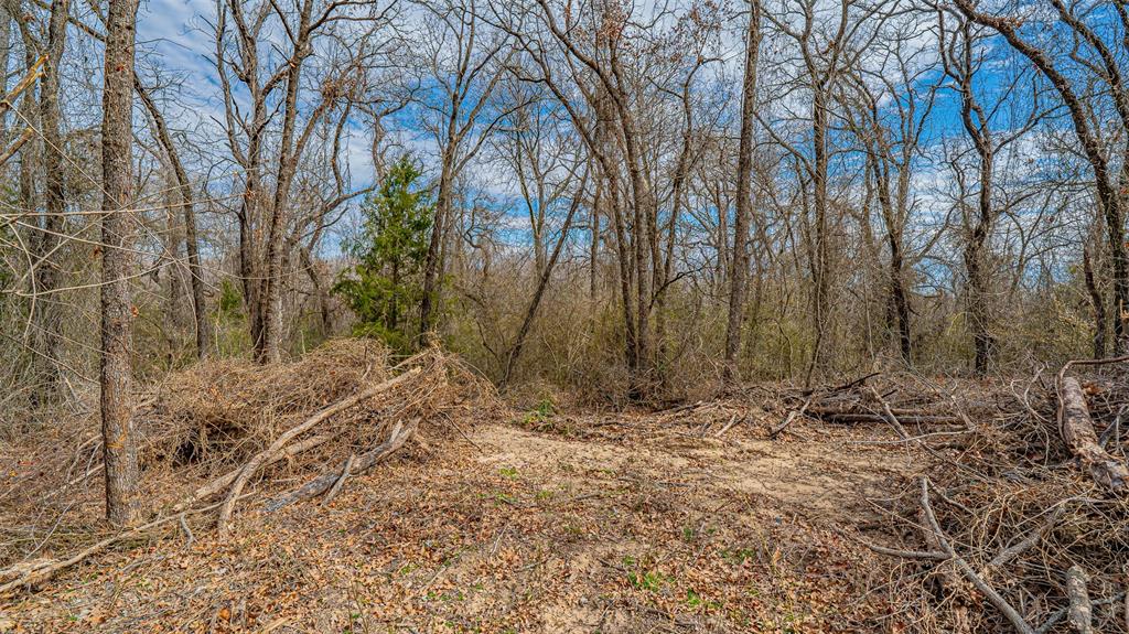 Tbd Conwell Drive Property Photo 6