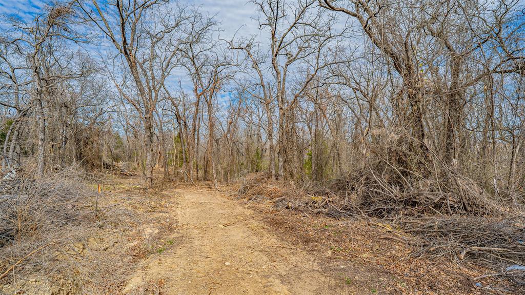 Tbd Conwell Drive Property Photo 7