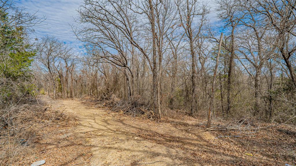 Tbd Conwell Drive Property Photo 8