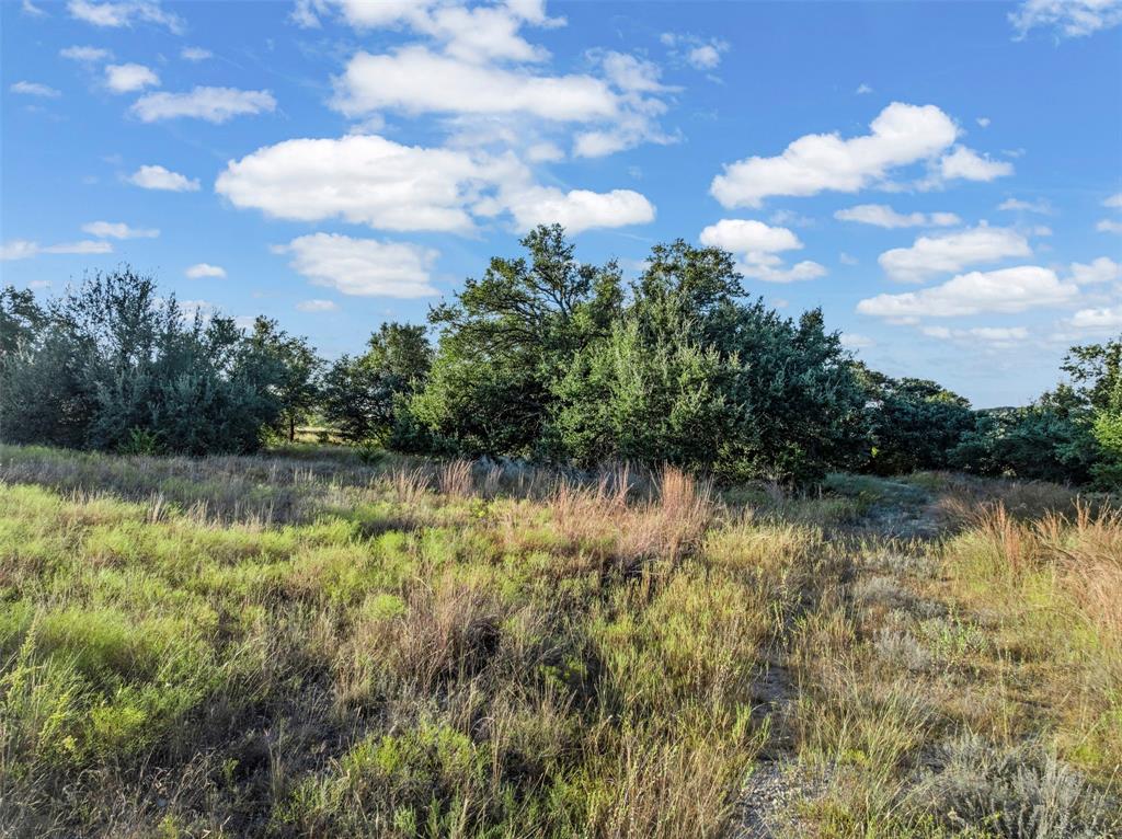 1456 Hidden Oaks Trail Property Photo 13