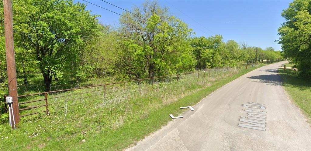 704 Mint Drive