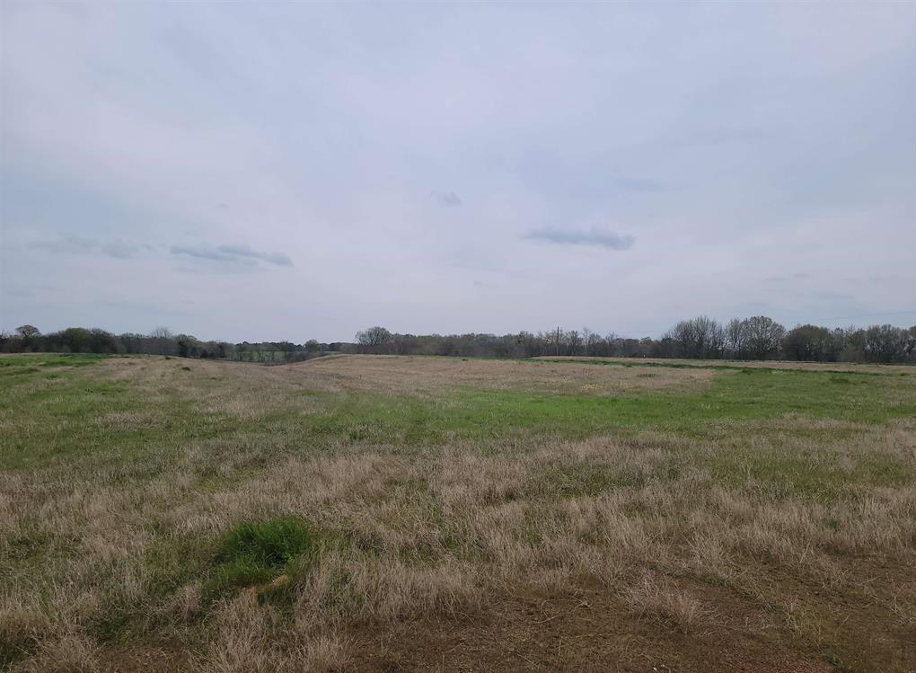Tbd Cr 2214 Property Photo 3