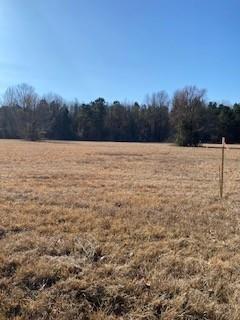 0 Bellevue Road Lot 1 Property Photo 2