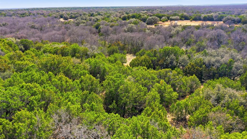 313 Hill Branch Lane Property Photo 12