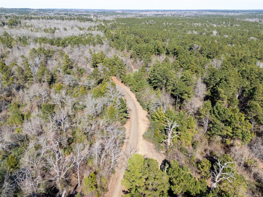 00000 County Road 442 Property Photo 1