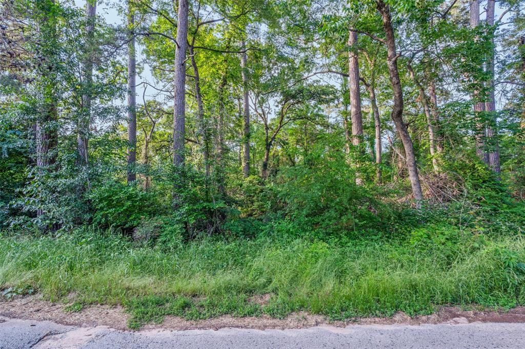 00 Forest Hill Drive Property Photo 11