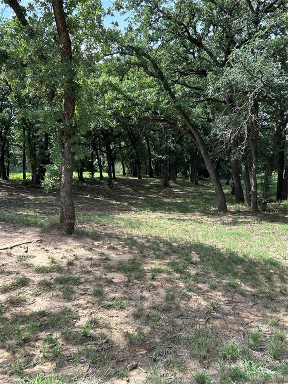 1340 N Us Hwy 281 Property Photo 33
