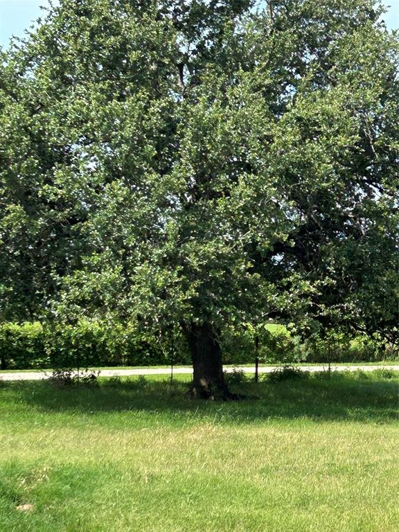1340 N Us Hwy 281 Property Photo 34