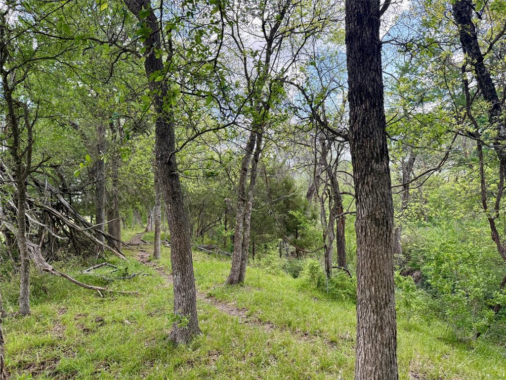 12335 County Road 4230 Property Photo 33