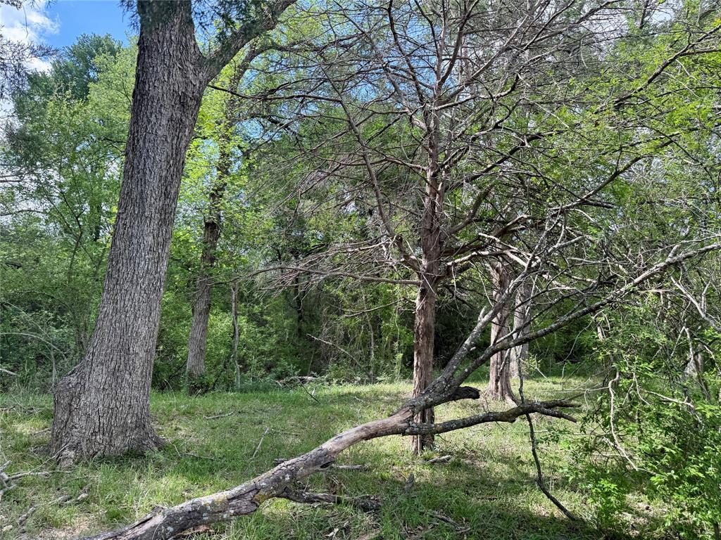 12335 County Road 4230 Property Photo 35