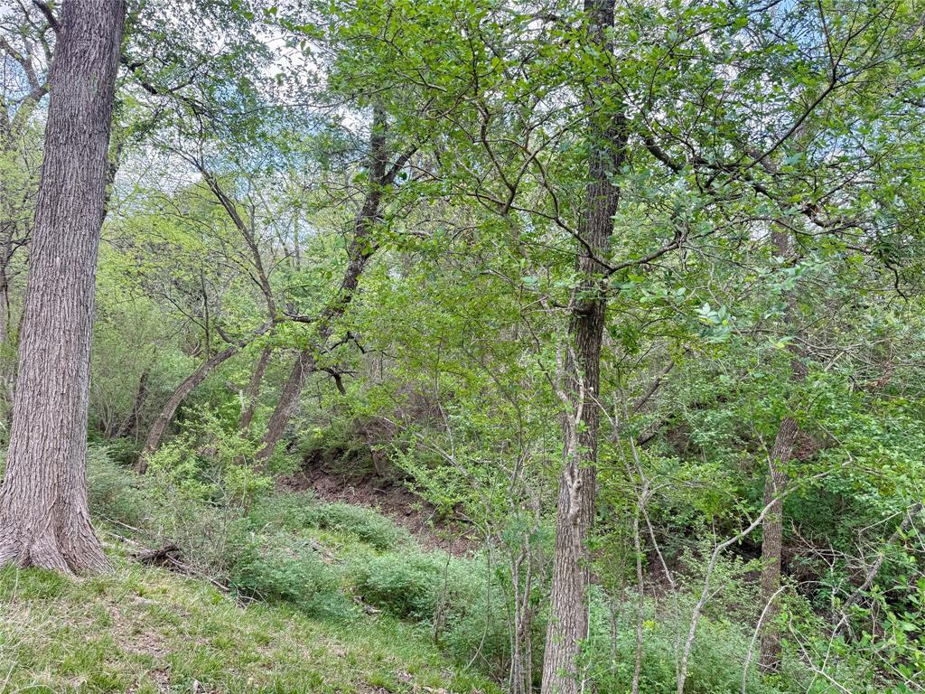 12335 County Road 4230 Property Photo 36