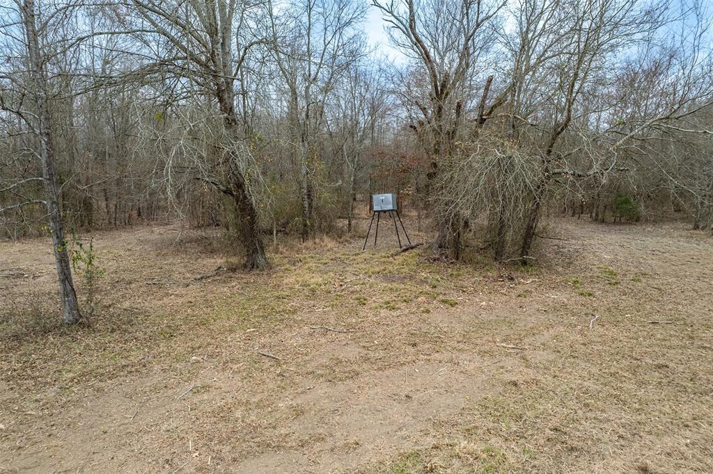 139 Nw County Road 1061 Property Photo 23