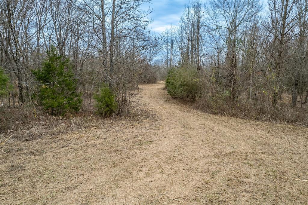 139 Nw County Road 1061 Property Photo 25