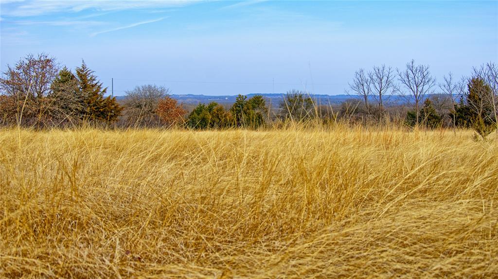 Tbd Fm 3206 Property Photo 1
