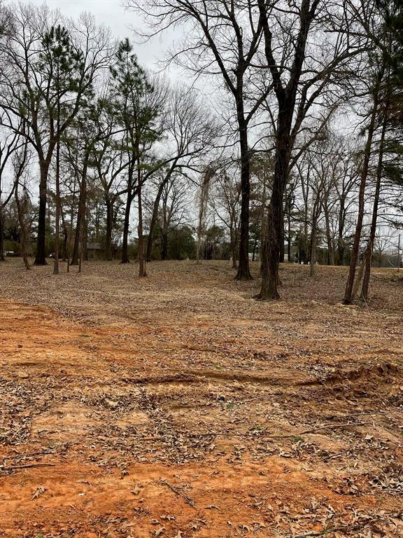 8499 N Kings Highway Property Photo 3