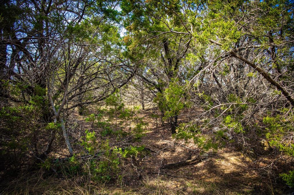 198 S Ranch Road Property Photo 24