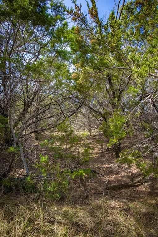 198 S Ranch Road Property Photo 25