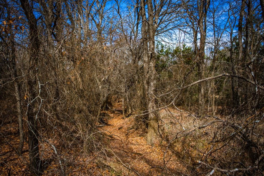 198 S Ranch Road Property Photo 28