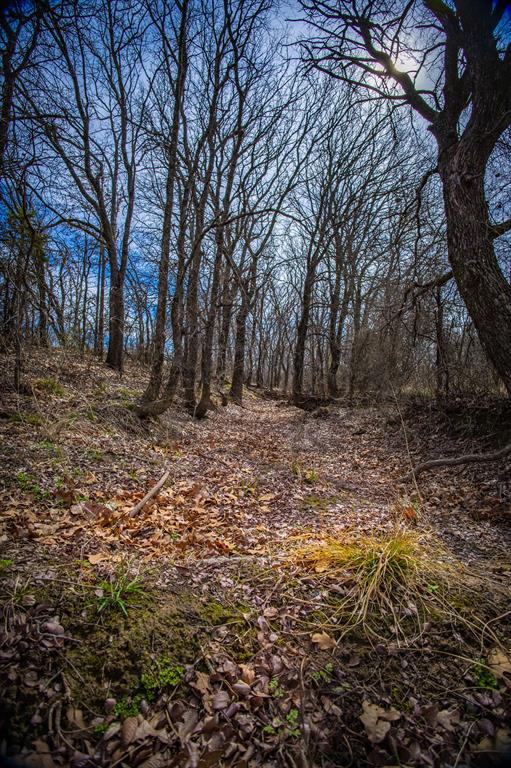198 S Ranch Road Property Photo 29