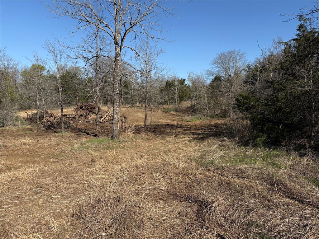Tbd Stribbling Property Photo 7