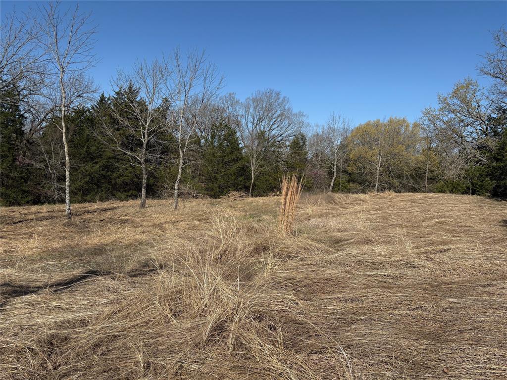 Tbd Stribbling Property Photo 8