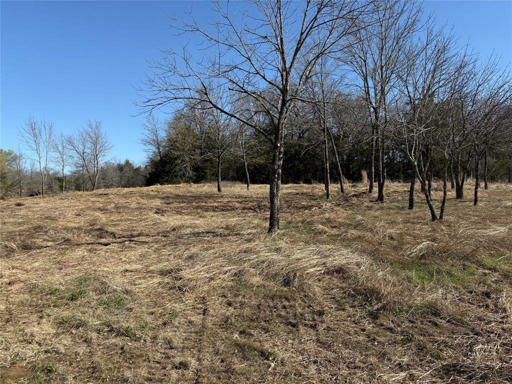 Tbd Stribbling Property Photo 9