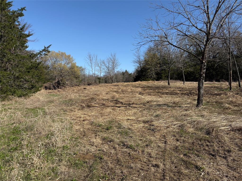 Tbd Stribbling Property Photo 10