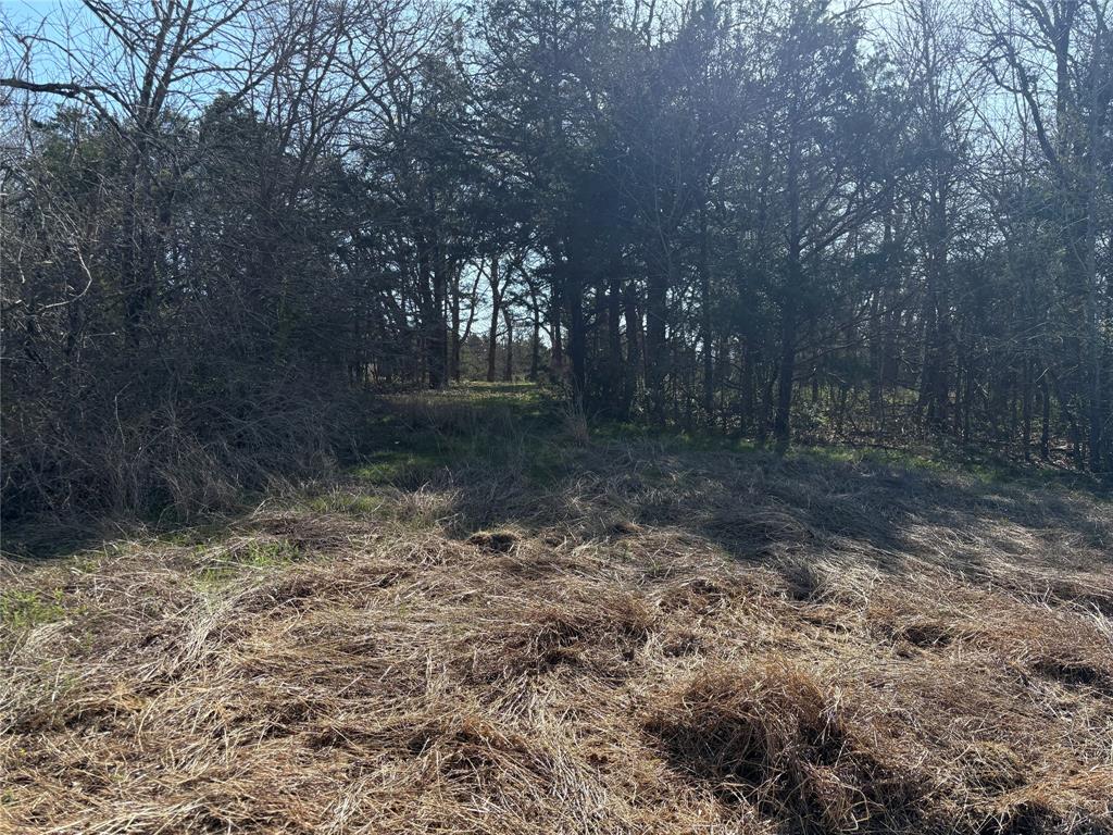 Tbd Stribbling Property Photo 14